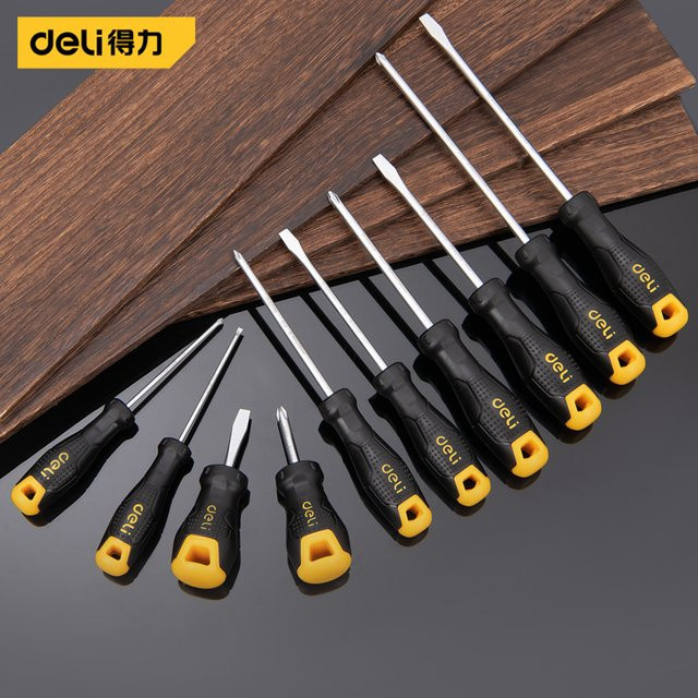 Deli Präzisions-Schraubendreher-Set mit Kreuzschlitz- und Schlitz-Bits für Elektronikreparatur und Heimwerker, Schwarz - Bild 1