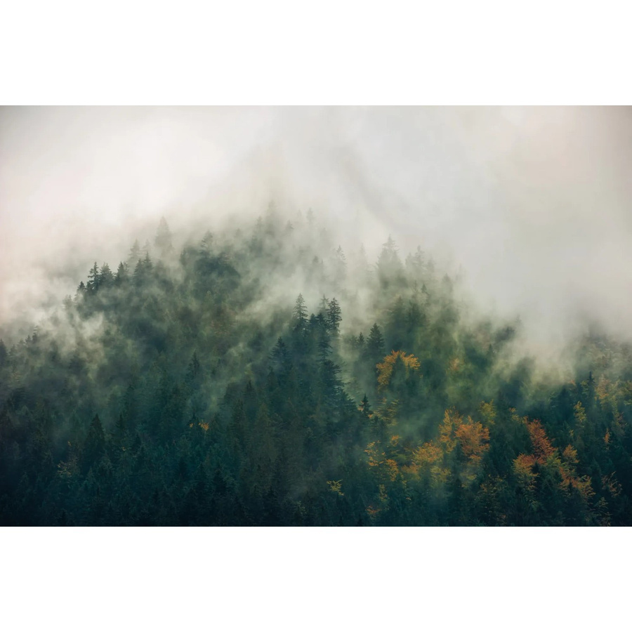 Komar Fototapete Vlies Tales of the Carpathians Multicolour B: 300 cm, H: 200 cm - Bild 2
