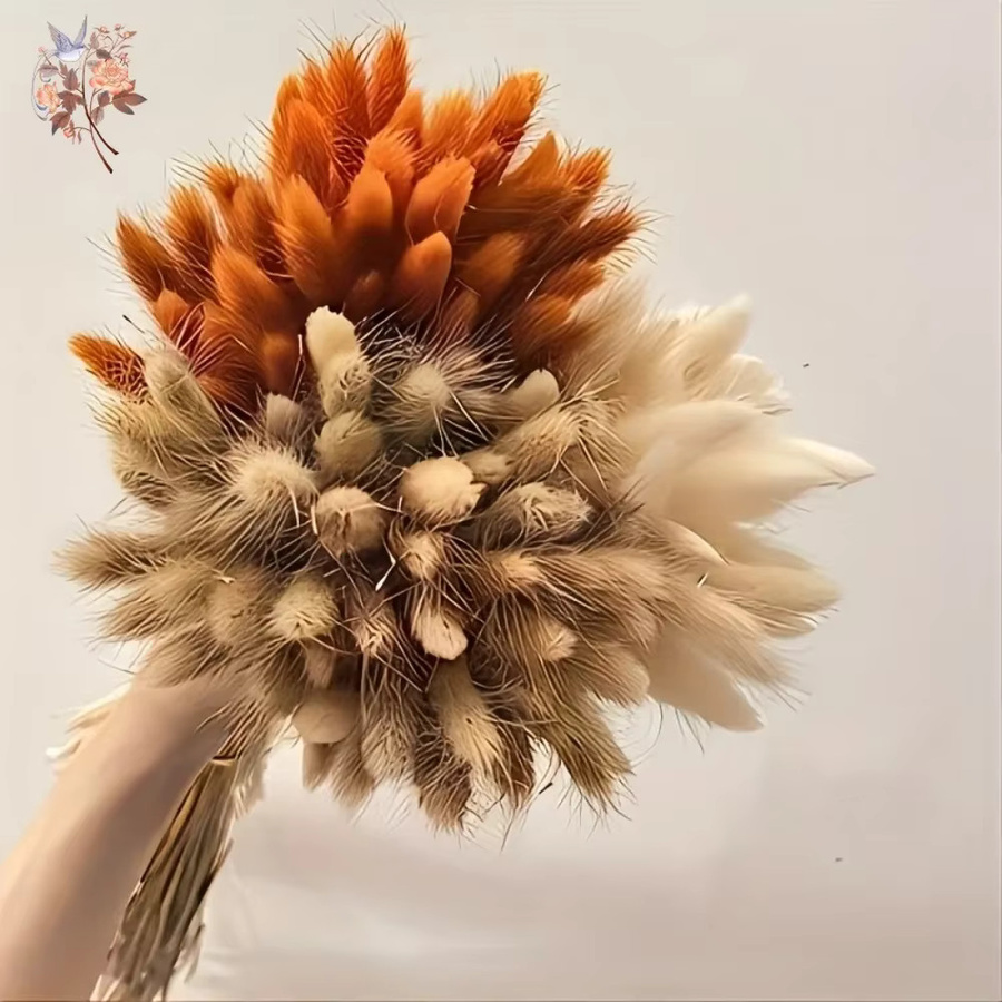 90 Stück Boho Herbst getrocknete Blumen Set aus Lagurus Hasenschwänzen in 3 Farben Mix zur Inneneinrichtung und Heimdekoration - Bild 3