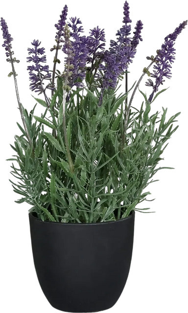 Künstlicher Lavendel Ibo von Aplanta für den Tisch, Höhe: 31 cm - Bild 1