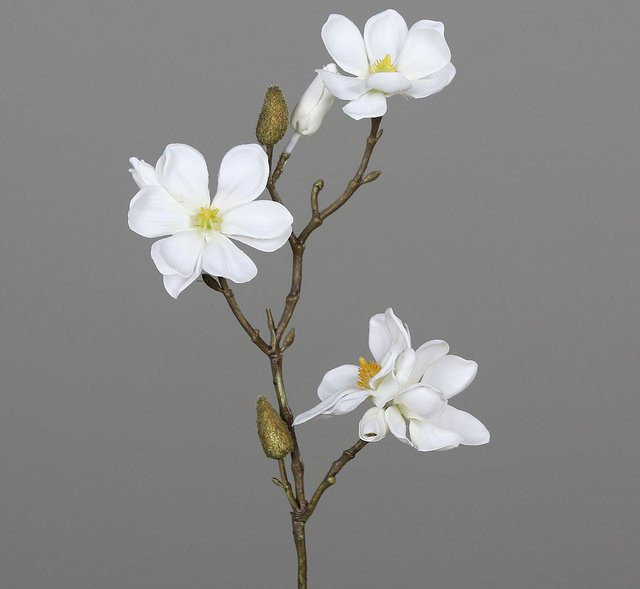 Kunstblume Magnolia von DPI in Beige und Weiß - Bild 1
