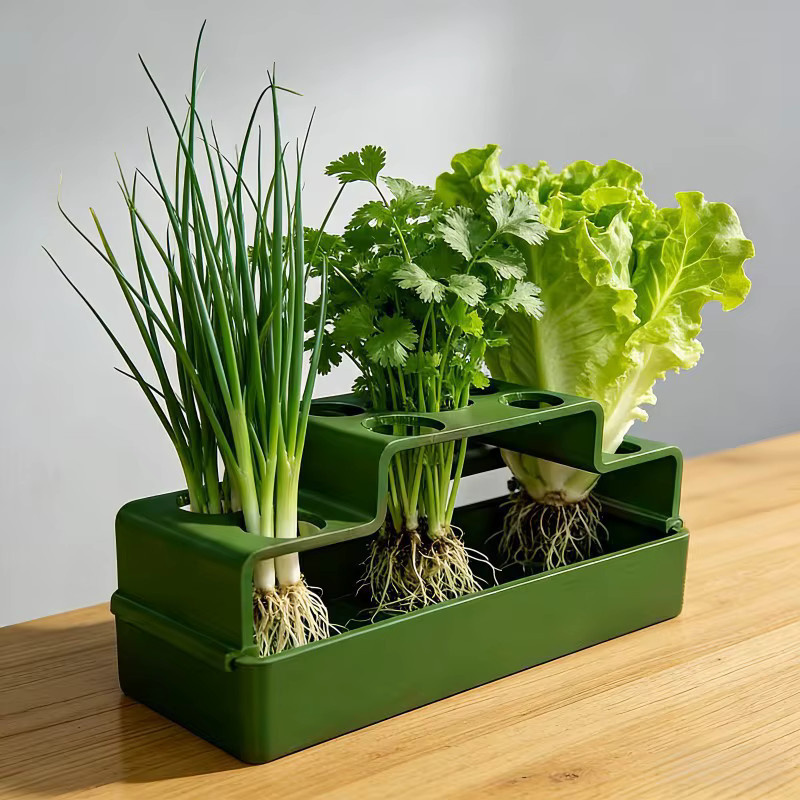 YOCITY Hydroponischer Anzuchttopf für Kräuter und Gemüse in Grün, B/T/H: 15,5 x 7,5 x 6,0 cm - Bild 3