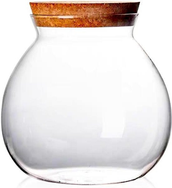 BenRussell Glas-Terrarium als Mikro-Landschafts-Glasflasche mit Korkverschluss, transparente Glasvase für Moospflanzen und Bonsai zur Schreibtischdekoration - Bild 1