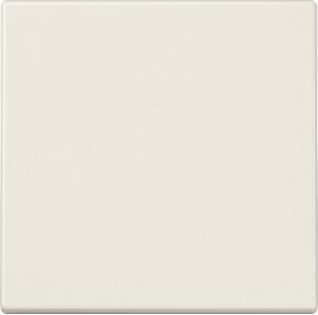Jung Steuertaste Standard LS 1700 aus Duroplast - Bild 1