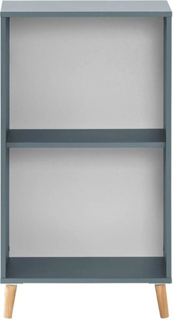 PROREGAL Aktenregal Jaguar Small in Blau mit 2 Fächern, H x B x T: 92,6 x 51 x 41 cm