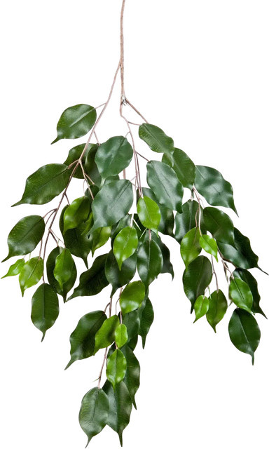 Künstlicher Ficus-Zweig Georgia von Aplanta - Bild 1