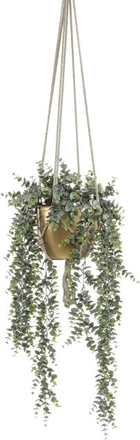 Künstlicher Eucalyptus Karolina von Aplanta, grün, Höhe: 75 cm - Bild 1