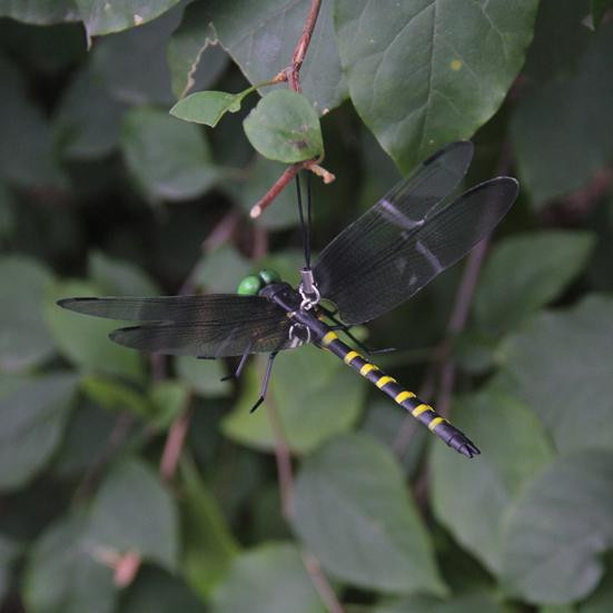 Nymira Künstliche Libelle als Gartendekoration und Insektenschutz in Grün und Mehrfarbig mit Aufhängeschlaufe - Bild 4