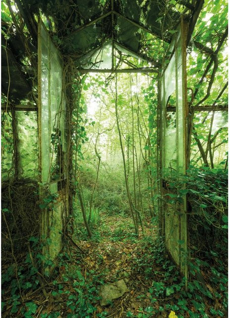 Komar Fototapete Vlies Greenhouse grün B: 200 cm, H: 280 cm - Bild 1