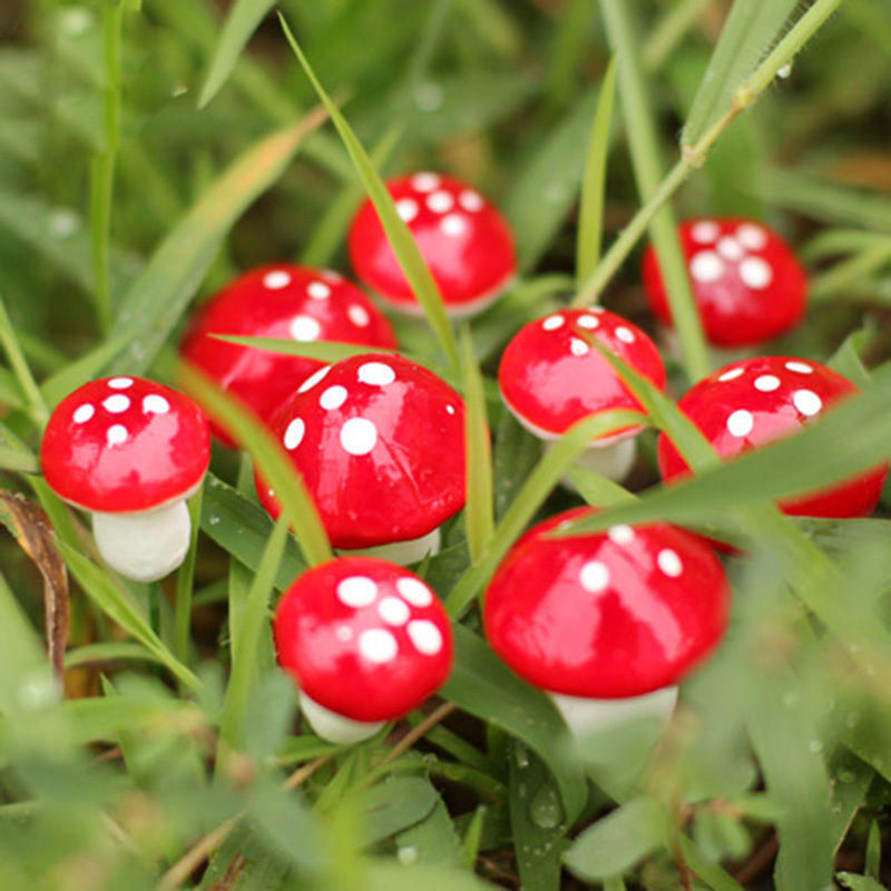 10 Stück Mini rote Pilz Deko-Ornamente von Happy Day aus Kunstharz und Schaum für Bonsai und Garten DIY-Handwerk - Bild 2