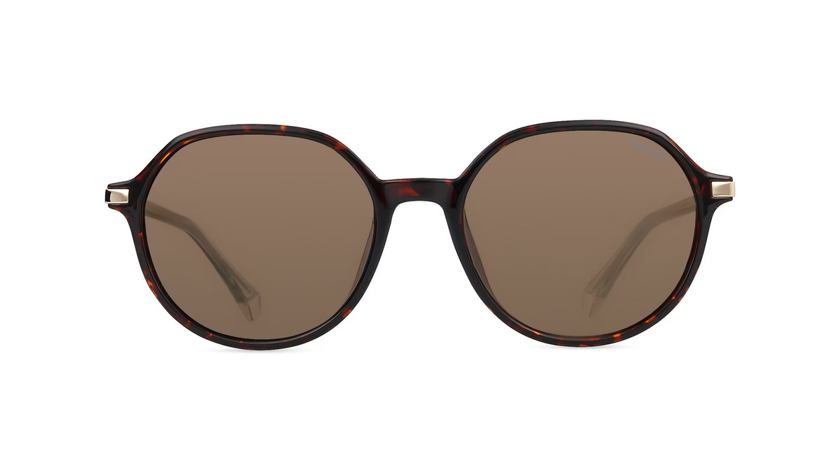 Polaroid PLD 4149/G/S/X Sonnenbrille Damen, Vollrand, Panto, Kunststoff, Braun - Bild 1