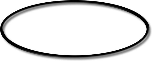 Sunsun O-Ring für Sandfilter Csf-500 in Schwarz - Bild 1