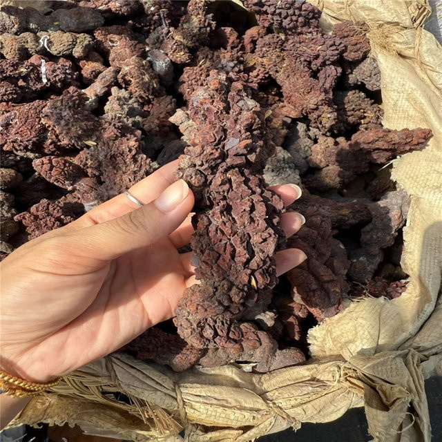 Wei Hong Koprolith Fossilisiertes Dinosaurier-Exkrement aus Madagaskar, braun, 1000 g - Bild 1