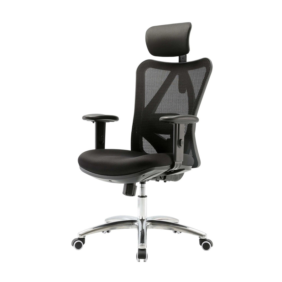 Proregal Bürostuhl Schwarz mit verstellbarer Lordosenstütze und Kopfstütze, Ergonomischer Schreibtischstuhl aus Kunstleder, H x B x T: 129 x 66 x 69 cm, Sitzhöhe: 42 cm, Belastbarkeit: 150 kg - Bild 2