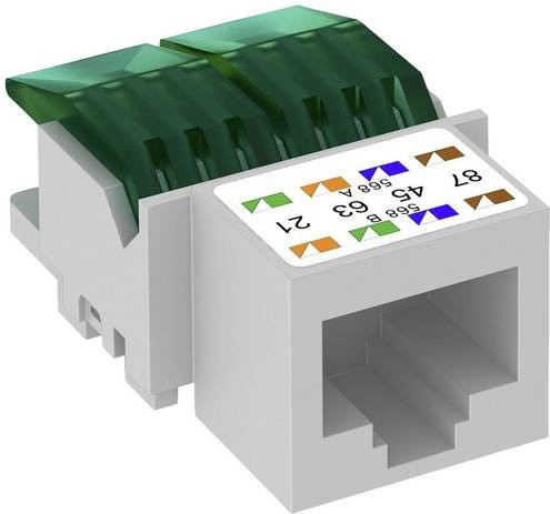 OBO Bettermann ASM-C5 RJ45-Einbaumodul CAT 5e Ethernet/LAN in Weiß - Bild 1
