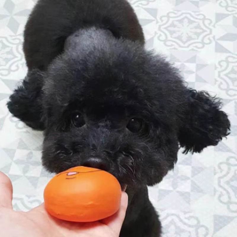 Yngк Gummi-Hund Welpe, Kauspielzeug, quietschender Ball, klingendes Spielzeug - Bild 2