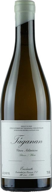 Envinate Taganan Blanco 2024 Weißwein, Teneriffa, 0,75 l - Bild 1