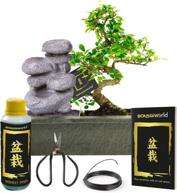 Vdvelde Bonsai Baum S-Form Zen Wasserfall mit Schale und Zubehör in Grün - Bild 1