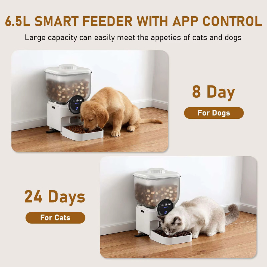 Jianyana Automatischer Tierfutterspender für Katzen, 6,5 l, Zeitgesteuert und Insektenresistent, Weiß - Bild 2