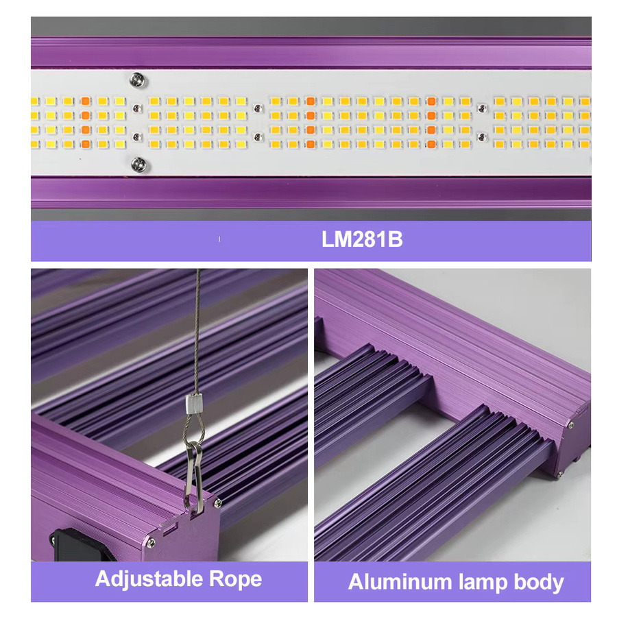 GRAXIDEA LED-Pflanzenlampe Vollspektrum in Schwarz, dimmbar mit Daisy-Chain-Funktion und integriertem Netzteil für Indoor-Gärtnerei - Bild 4