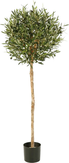 Künstlicher Olivenbaum Isa von artplants in Grün, Höhe: 140 cm - Bild 1