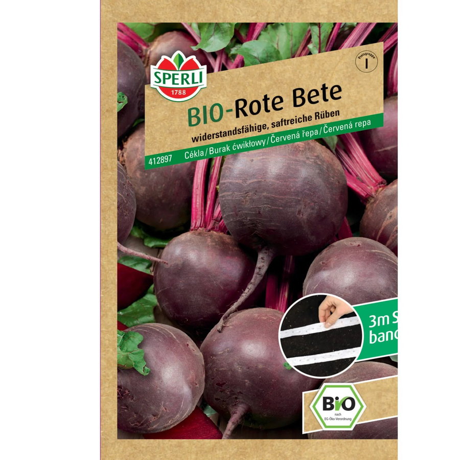 Sperli Bio Rote Bete F1-Hybride Saatband - Bild 2