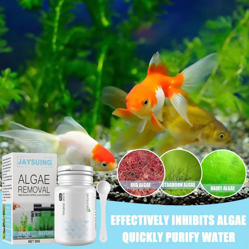 Jaysuing Algen- und Moosentferner für Teich und Aquarium zur Wasserreinigung - Bild 3