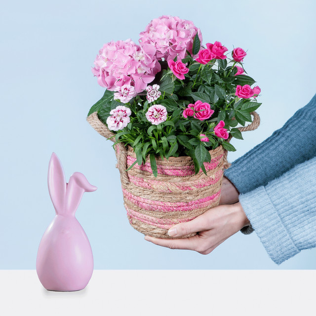 Blütenkorb mit Keramikhase von BLUME2000 in Pink für Balkon und Terrasse - Bild 1