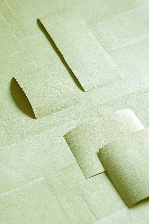 Élitis Tapete Sangpi VP 1018 61 in Grün mit geometrischem Abstract-Muster aus Vinyl - Bild 1