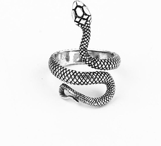 Ring Schlange Python, Messing, Silber, Unisex - Bild 1