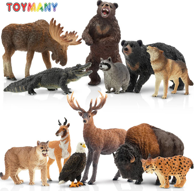 toymany Wald Wildlife Tier Modell Spielzeug, 12-teiliges Set, Bunt / Mehrfarbig - Bild 1
