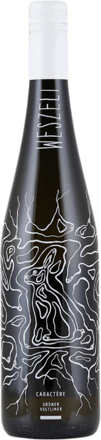 Weszeli Caractére Kamptal, Grüner Veltliner, trocken, Weißwein, 2023, 0,75 l - Bild 1