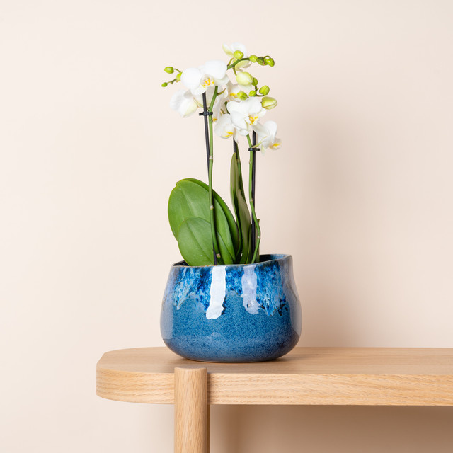 Keramik Übertopf BLUME2000 Blau für Tischdekoration, Durchmesser: 14 cm - Bild 1