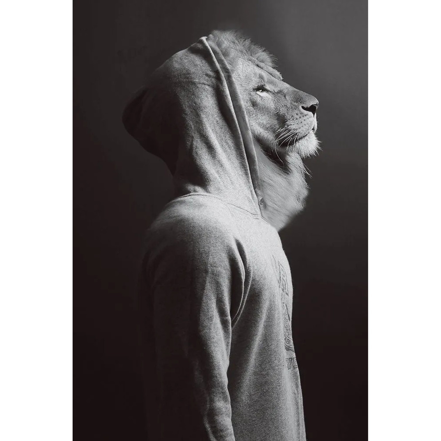 Art Universe Glasbild Löwe im Hoodie modern Illustration Grau B: 60 cm, H: 90 cm - Bild 2