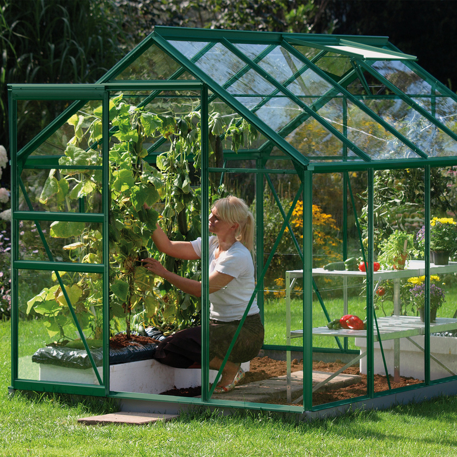 Vitavia Gewächshaus Venus 5 m² in Smaragdgrün für die Pflanzenzucht von Kräutern und Gemüse im Außenbereich - Bild 3