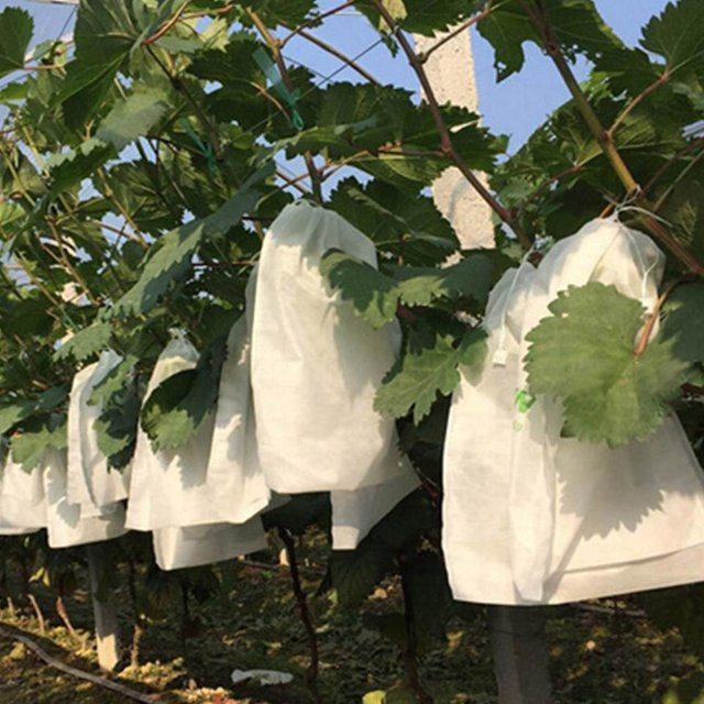 Wasserdichte Obst- und Gemüse-Schutztasche aus Vlies als Anti-Insekten- und Anti-Vogel-Netz für Pflanzen und Sämlinge in Weiß - Bild 1