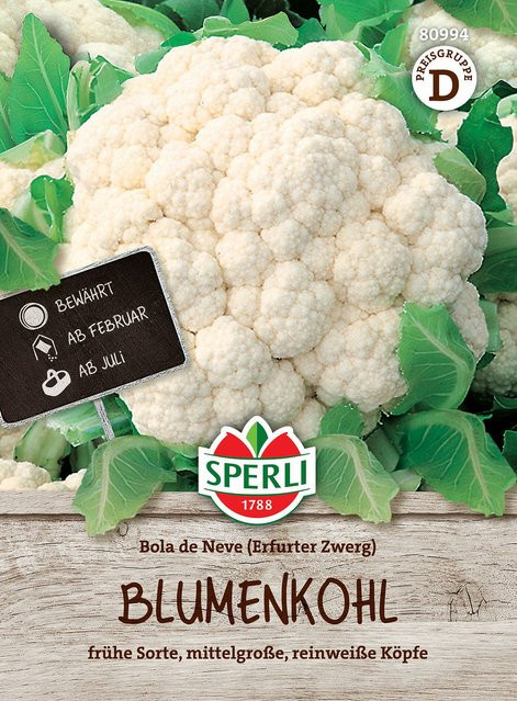 SPERLI Blumenkohl-Samen Bola de Neve Erfurter Zwerg weiß - Bild 1
