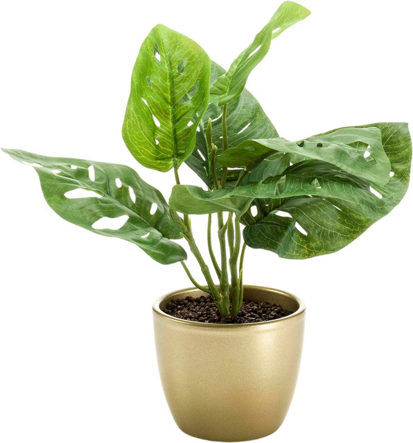 Künstlicher Monstera Busch Lotte von Aplanta, Höhe: 30 cm - Bild 1