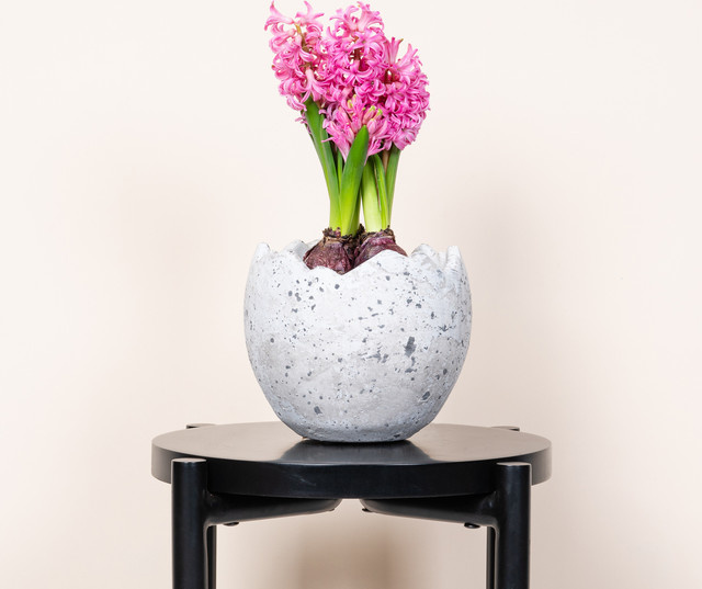 Beton Übertopf Ei von BLUME2000 in Grau, Höhe: 13,5 cm, Breite: 12,5 cm, Tiefe: 13,5 cm - Bild 1