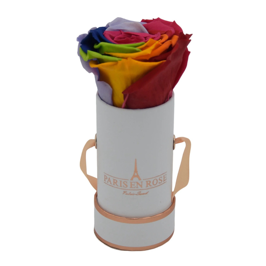 PARIS EN ROSE Rosenbox Weiß mit einer Rainbow Rose, Durchmesser: 5 cm - Bild 2