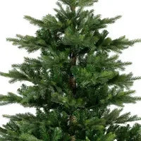 EVERLANDS Weihnachtsbaum Grandis Fir in Grün, Höhe: 300 cm, Durchmesser: 182 cm - Bild 1