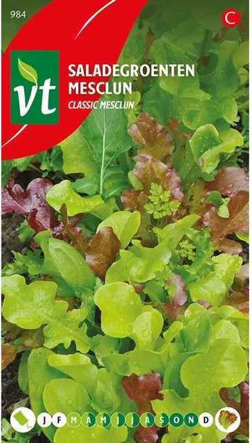 Arborix Salatmischung Mesclun Saatgut mit vielfältigen Aromen, 4 g - Bild 1