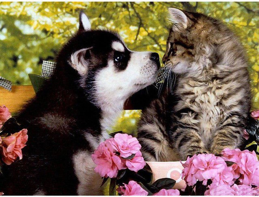 FIYO Diamond Painting Set 5D mit Hund und Katten Motiv, DIY Stickerei mit Strasssteinen, mehrfarbig, B x H: 30 x 20 cm - Bild 1