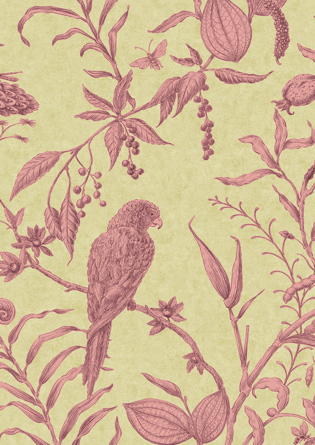 Lewis & Wood Tapete Squawk Cantaloupe in Pink mit floralem und botanischem Motiv - Bild 1