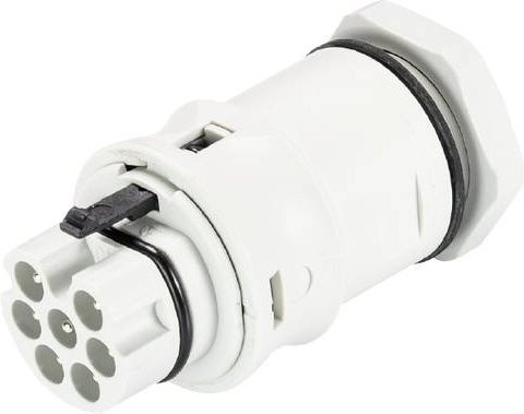 Wieland Electric 96.072.6253.0 Geräteanschluss in Grau und Weiß - Bild 1