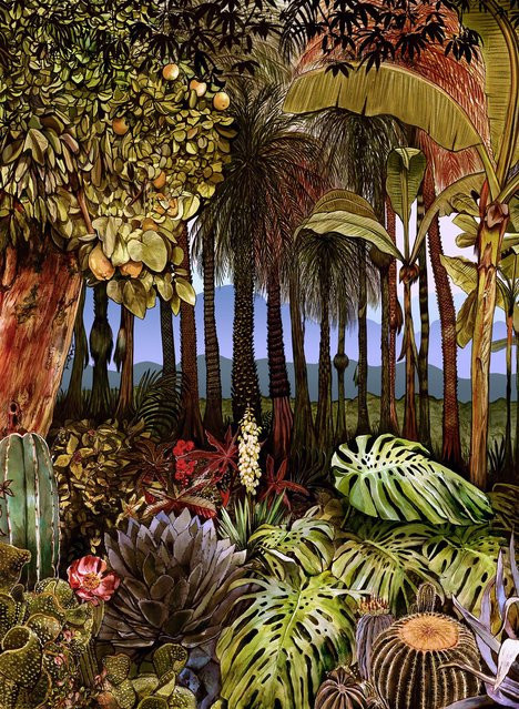 Coordonne Wandtapete Botanico 8000048N mit Dschungel-Motiv in Mehrfarbig, Vlies-Tapete - Bild 1