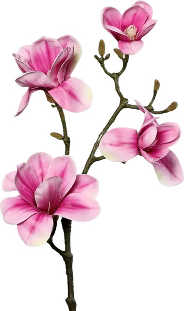 Künstlicher Magnolien Zweig Matilda von Aplanta, Höhe: 80 cm - Bild 1