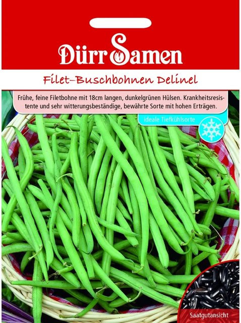 Dürr Delinel Buschbohnen Saatgut - Bild 1