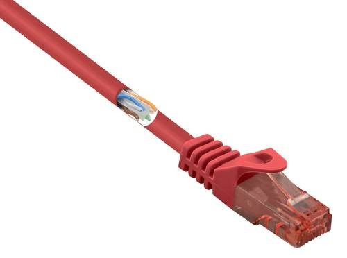 Renkforce RF-5047416 RJ45 Patchkabel CAT 6 U/UTP Ethernet LAN, Rot, Länge: 0,5 m - Bild 1