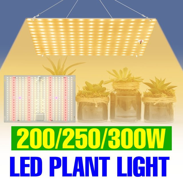 300W LED Vollspektrum Pflanzenlampe Quantum Board als Wachstumslampe für Gemüse und Topfpflanzen in Silber - Bild 1